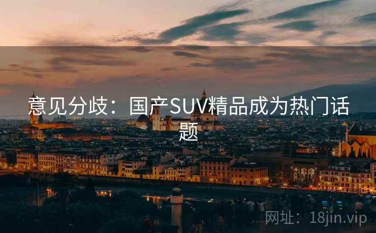 意见分歧:国产SUV精品成为热门话题 意见分歧:国产SUV精品成为热门话题